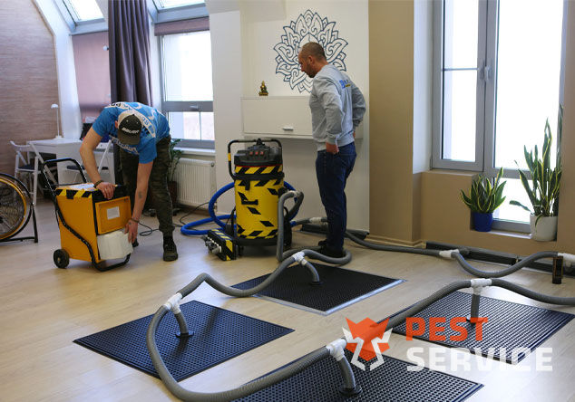 Профессиональная сушка после потопа в Барнауле от 3000 руб. Быстро устраняем влагу, предотвращаем плесень и повреждения. Современное оборудование и опытные специалисты. Безопасно и эффективно.